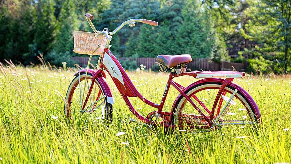 red bike 3498606 kleiner