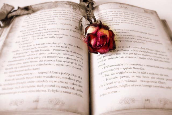 Geschichte & Geschichten