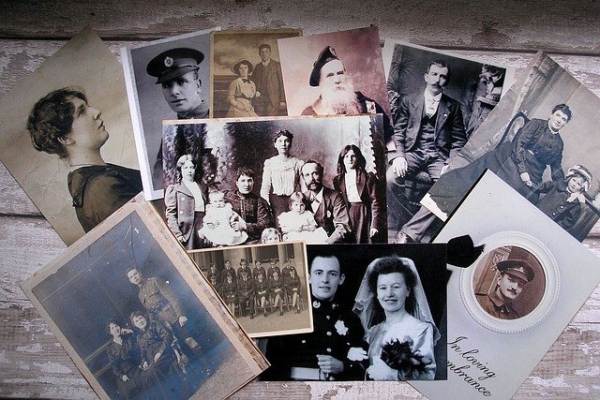 Den Stammbaum der Familie erforschen