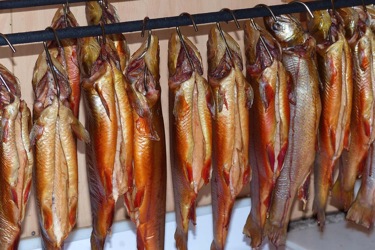 fisch-fcja99-char-2258284-3x2-1300px