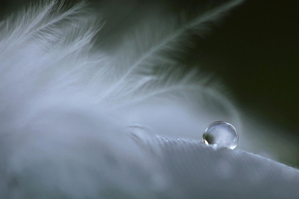 Trauercafe der Ev. Kirche Rablinghausen