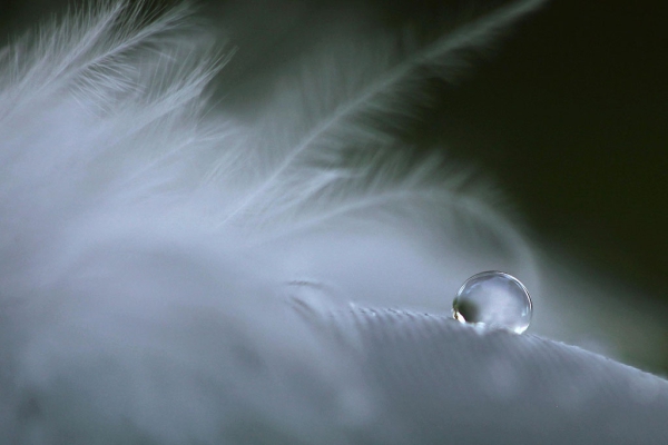 Trauercafe der Ev. Kirche Rablinghausen